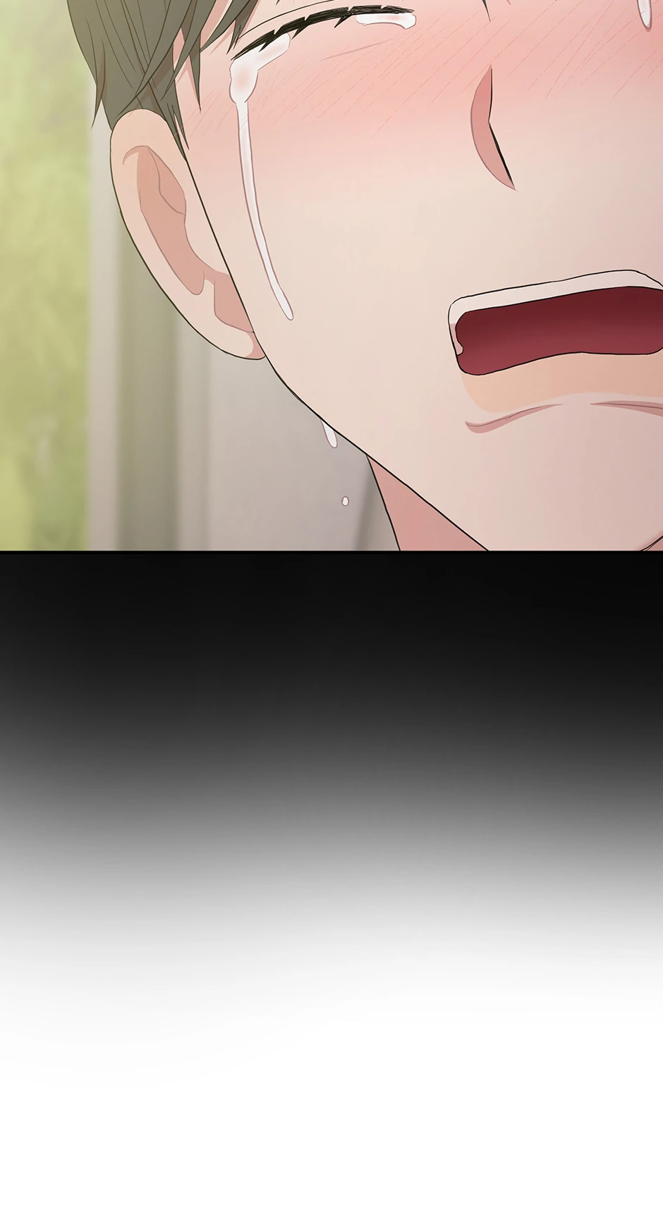 88965646 940 1740 51760